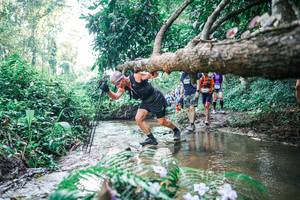 BIB: 
                            <button type="button" onclick="openModal(25451832)" class="btn btn-primary btn-sm float-right btn-popup" data-toggle="modal" data-target=".modal-high-quality">
                        <i class="fas fa-shopping-cart"></i> Add to Cart
                    </button>
                                            <button type="button" onclick="isThisMe(25451832, true)" class="btn btn-success btn-sm float-right btn-popup btn-isme hidden" data-toggle="tooltip" data-placement="bottom" title="นี่คือรูปของคุณใช่ไหม คลิกที่นี่เพื่อเอาเข้าอัลบั้ม">
                        <i class="fas fa-plus"></i> Add to album
                    </button>
                    <button type="button" onclick="isThisMe(25451832, false)" class="btn btn-warning btn-sm float-right btn-popup btn-isnotme hidden">
                        <i class="fas fa-ban"></i> Remove from album
                    </button>